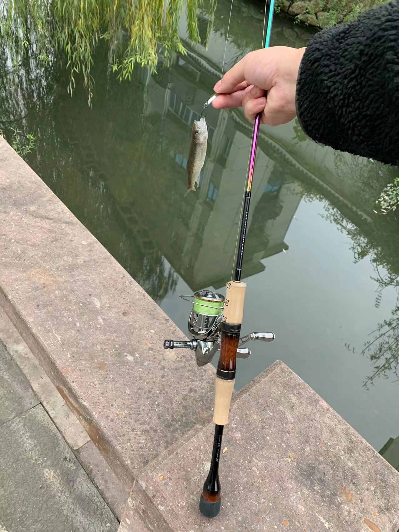 Z-Tao BFS rod 512ULS Creek Fishing | dankung.com