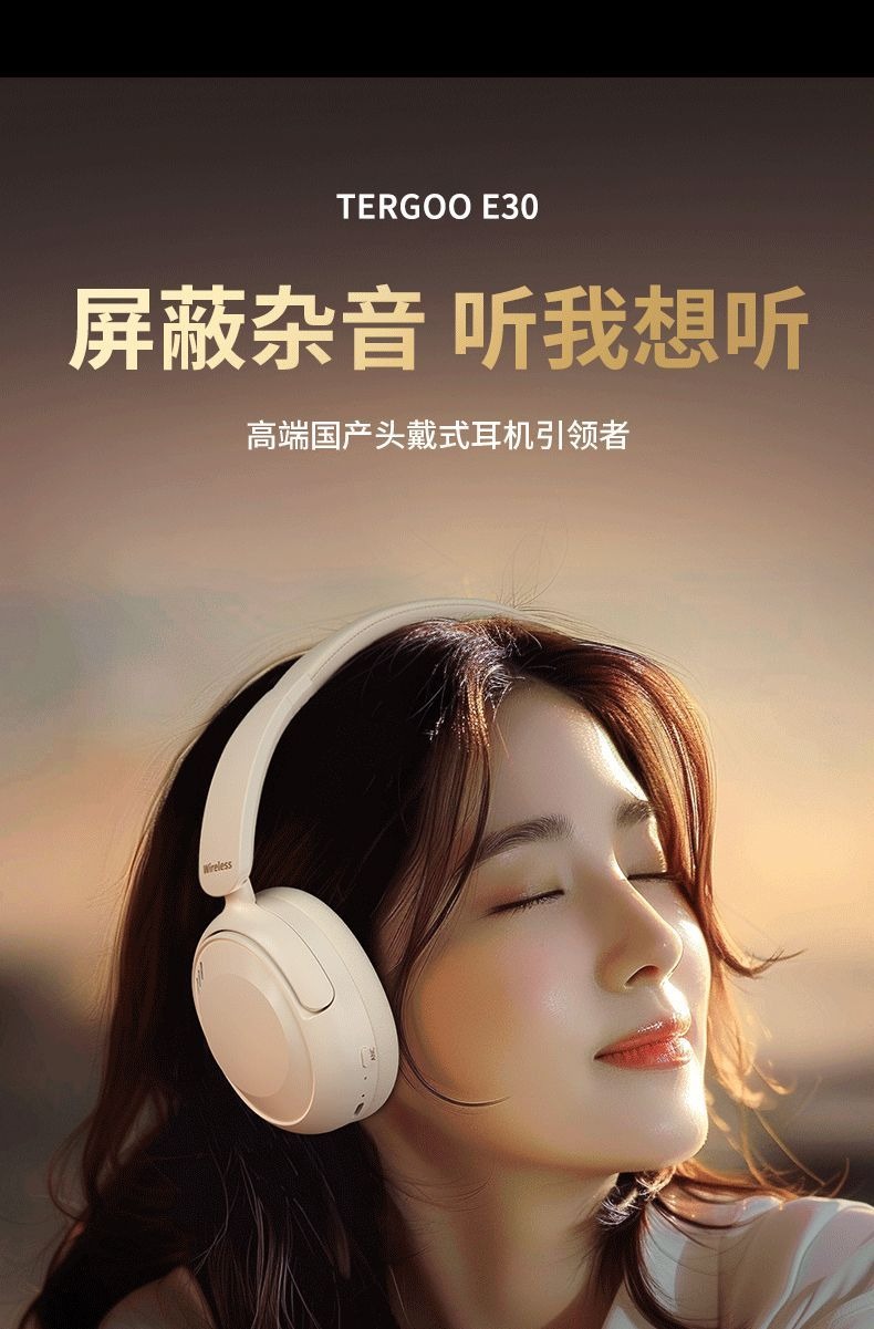 HIFI earphone AUDIOBOLINSOUND001_3
