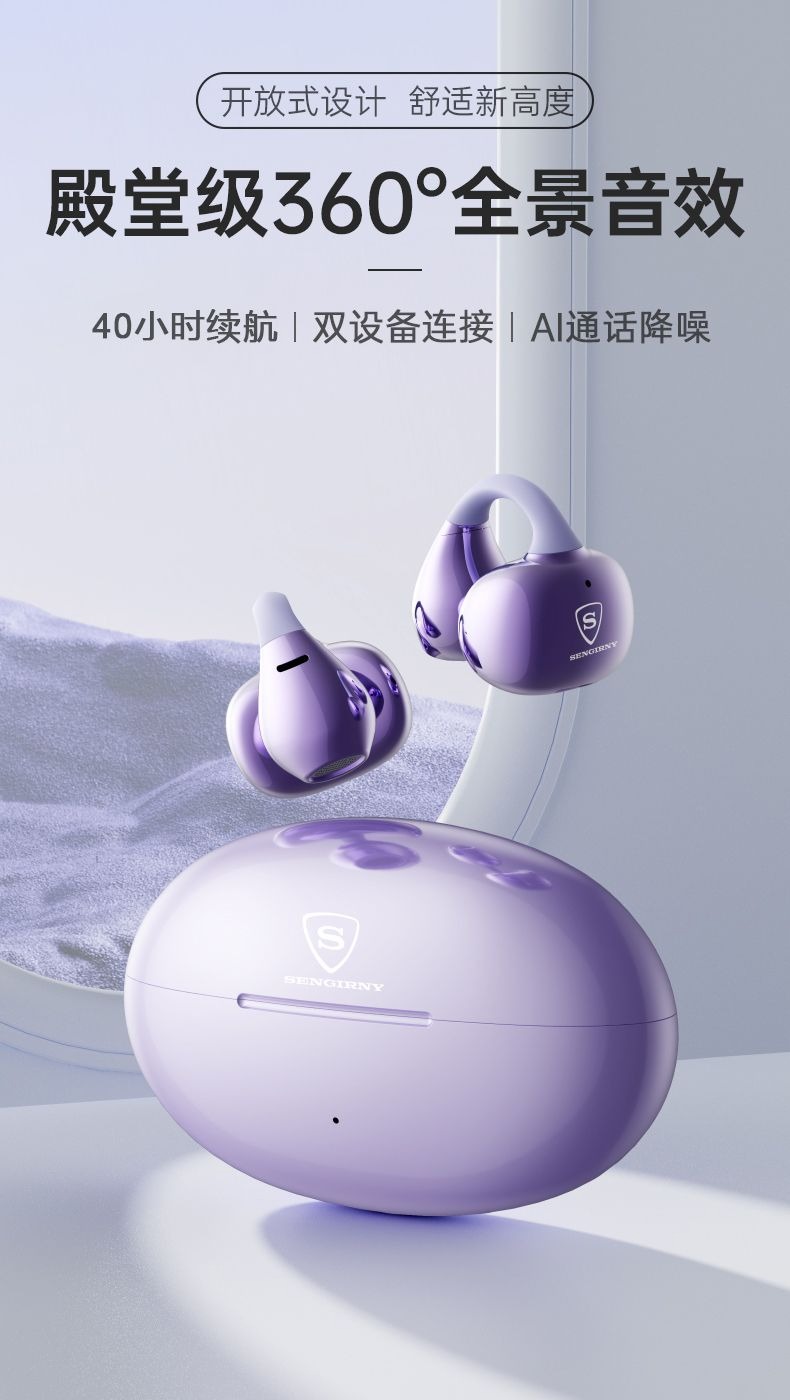 HIFI earphone AUDIOSENGIRNY0012_2