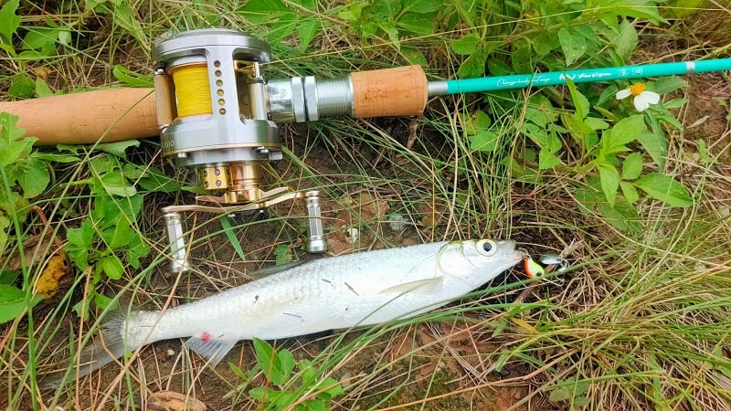 Fiberglass GLASSFIN finesse Fishing Rod