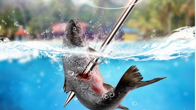 dankung slingshot fishing