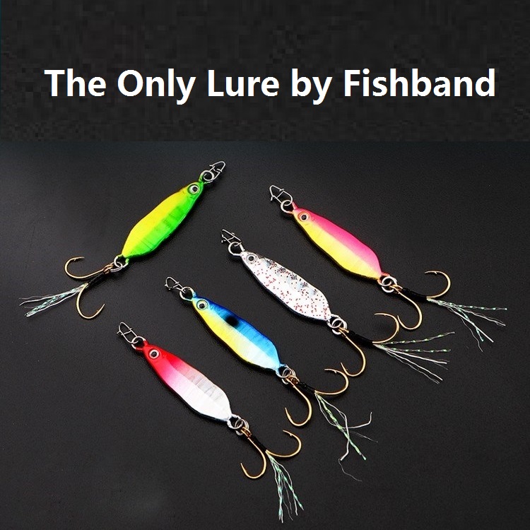 4 pieces of Fishband long casting micro jig specializing in finesse fishing