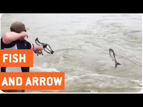 slingshot bow & fishing  Expert of Stream Trout Rod & Hunting Catapult